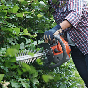 Husqvarna Hedgecutter 300px